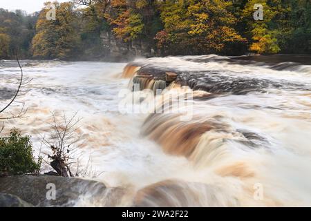 Richmond Falls in SPATE - High Water at Richmond Waterfalls im Herbst - Yorkshire, Großbritannien Stockfoto