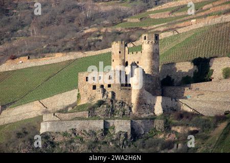 Ruine des Schlosses Ehrenfels, am Hang mit Weinterrassen mit Blick auf den Rhein, bei Rudesheim am Rhein in Hessen Stockfoto