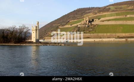 Mauseturm, Mauseturm, auf einer kleinen Insel im Rhein, mit Schloss Ehrenfels im Hintergrund auf der anderen Flussseite, nahe Bingen, Deutschland Stockfoto