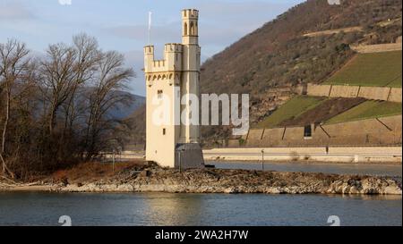 Der Mauseturm, Mausturm, auf einer kleinen Rheininsel bei Bingen Stockfoto