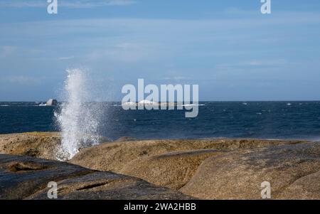 Blowhole in den Granitfelsen am Bicheno Beach, Tasmanien, Australien. Wasserstrahlen, die aus dem Loch kommen, sind kraftvoll, das Wasser nimmt neue Formen an Stockfoto