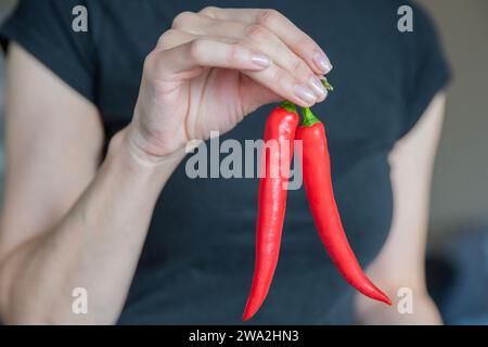 Die Hand der Frau hält Chilischote aus der Nähe. Der Prozess der Zubereitung von scharfer Suppe oder hausgemachter heißer Soße. Stockfoto