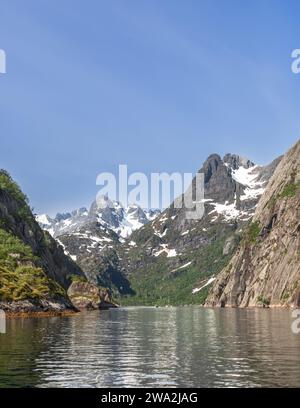 Das ruhige Wasser des Trollfjordens spiegelt die zerklüfteten Klippen und schneebedeckten Gipfel der Lofoten wider, mit einem Ausflugsboot in der Ferne Stockfoto