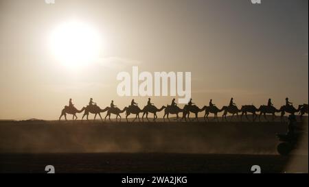 Kamelkarawane durch die Wüste Agafay bei Sonnenuntergang Stockfoto