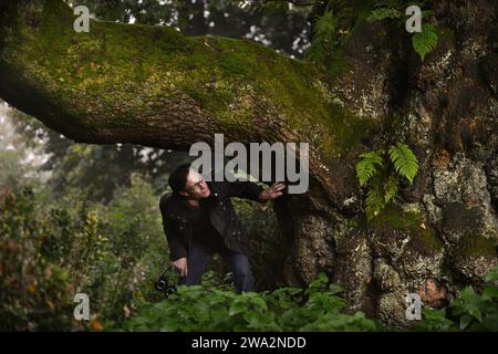 Ein Mann erkundet uralte Wälder in England, Großbritannien Stockfoto