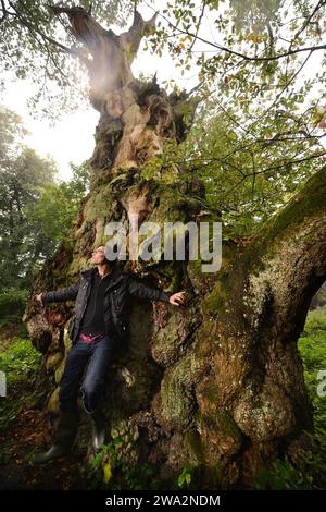 Ein Mann erkundet uralte Wälder in England, Großbritannien Stockfoto