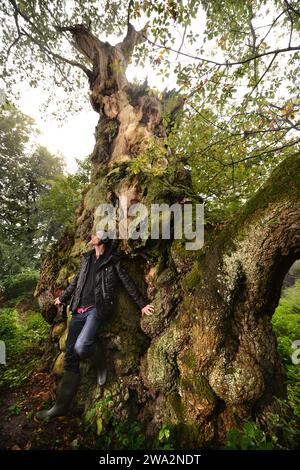 Ein Mann erkundet uralte Wälder in England, Großbritannien Stockfoto