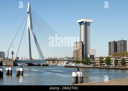 Die Stadt Rotterdam mit modernen Wolkenkratzern, dem Euromast und der Brücke über den Fluss Maas. Stockfoto