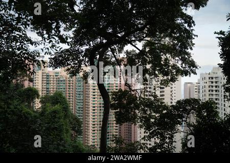 Mid-Levels ist ein wohlhabendes Wohngebiet auf Hong Kong Island in Hong Kong Stockfoto