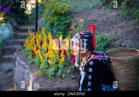 20.-2023-Chiang Rai- Thailand- Alter Mann mit Korb auf dem Rücken und in traditionellen Trachtenrusten gekleidet. Im Hintergrund sind bunte Blumen Stockfoto