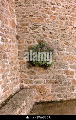 Actuell Klimaveränderung in Europa Stockfoto