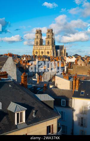 Frankreich, Loiret (45), Orleans, Blick von den Dächern des historischen Zentrums der Stadt mit der Kathedrale Sainte-Croix Stockfoto