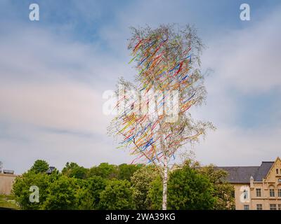 Frühlingsreise nach Europa. Hohe Birke im Zentrum von Erfurt mit bunten Bändern verziert. Mai Volksfest Maypole oder Maibaum Stockfoto