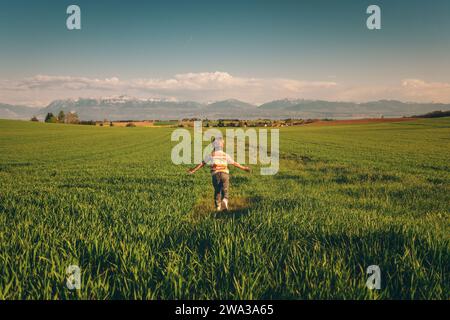 Entzückender Junge, der im Frühjahrsweizenfeld läuft, Arme weit offen. Bild aufgenommen im Kanton Waadt, Schweiz Stockfoto