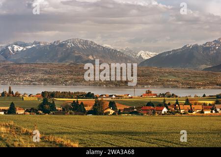 Frühlingsweizenfelder im Kanton Waadt, Schweiz, Blick auf den Genfer See und die französischen Alpen Stockfoto