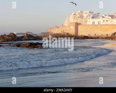 Felsiger Strand mit Stadtmauern und historischer Medina dahinter in der Stadt Essaouira an einem Winterabend, Marokko, 1. Januar 2024 Stockfoto