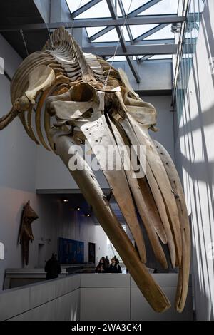 LYON, FRANKREICH, 10. April 2022: Musee des Confluences. Das Musee des Confluences befindet sich am Zusammenfluss von Rhone und Saone. Stockfoto