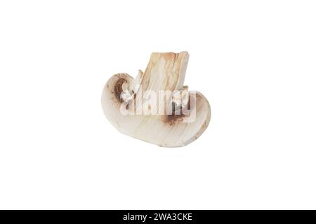 Agaricus bisporus unreife Fruchtkörperhälfte. Weißer Champignon-Pilzknopfquerschnitt isoliert auf weiß. Stockfoto