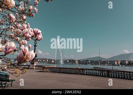 Genf, Schweiz - 25. März 2022: Wunderschöne städtische Landschaft im Park Jardin des Alpes mit blühenden Bäumen in Genf, Swtizerland. Stockfoto