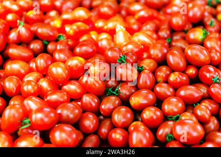 Frisch geerntete Tomaten auf dem Bauernmarkt Stockfoto