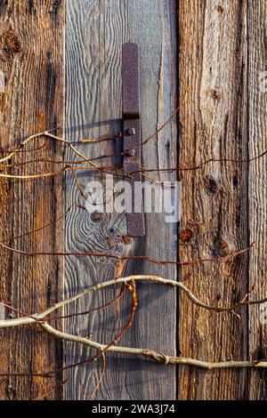 Grob gesägte Holzdielen an der Seite eines Schuppens am Britannia Ship Yard in Steveston Kanada Stockfoto