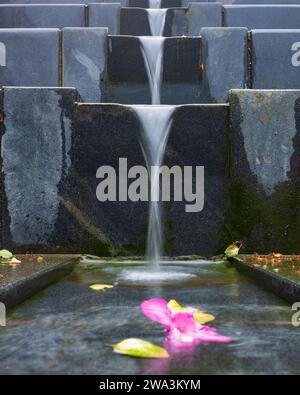 Ein gefallenes rotes Rhododendron-Blütenblatt, das am Sommernachmittag in der Nähe eines Schiefersteinwasserfalls in Bergen, Norwegen, gefunden wurde. Stockfoto