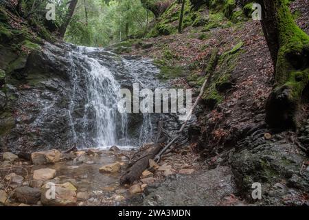 Ein kleiner Wasserfall in den Santa Cruz Bergen in der San Francisco Bay Area, Kalifornien. Stockfoto