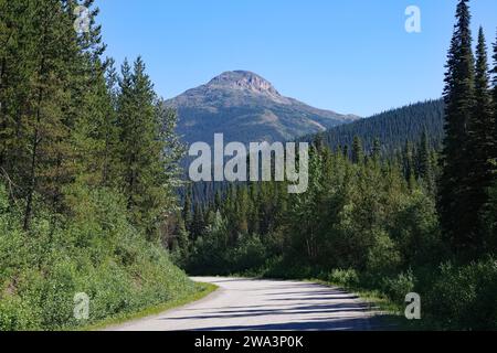 Schmale, verkehrsfreie Straße führt durch zerklüftete Berglandschaften, Wildnis, Stewart Cassiar Highway, British Columbia, Kanada, Nordamerika Stockfoto