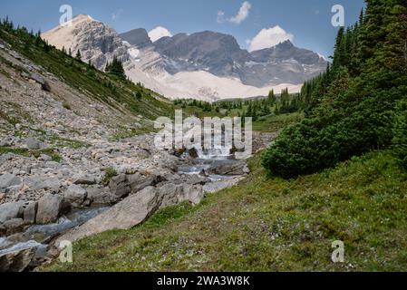 Der Fluss geht im Vordergrund Felsen hinunter; große Berge im Hintergrund, nahe dem Nigel Pass in Kanada Stockfoto