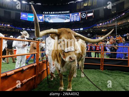 New Orleans, Usa. Januar 2024. Texas Longhorn Maskottchen Bevo steht vor dem Sugar Bowl NCAA-Fußballspiel 2024 gegen die Washington Huskies im Caesars Superdome in New Orleans, Louisiana am Montag, 1. Januar 2024. Foto: AJ Sisco/UPI Credit: UPI/Alamy Live News Stockfoto