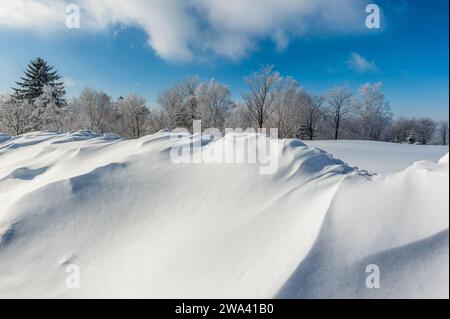 Lao Rik weiche Reimlandschaft, an der Kreuzung von Helong City und Antu County, Yanbian Korean Autonomous Prefecture, Provinz Jilin, China. Stockfoto