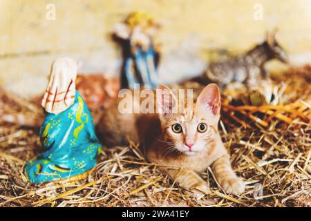 Niedliche kleine rote Katze, die in der alten Kirche zwischen Figuren von Jesus und Maria spielt Stockfoto