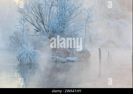 Die Nebelströmung in der dämonischen Welt, Antu County, Yanbian Korean Autonomous Prefecture, Provinz Jilin, China. Stockfoto