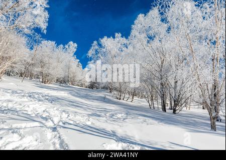 Lao Rik weiche Reimlandschaft, an der Kreuzung von Helong City und Antu County, Yanbian Korean Autonomous Prefecture, Provinz Jilin, China. Stockfoto