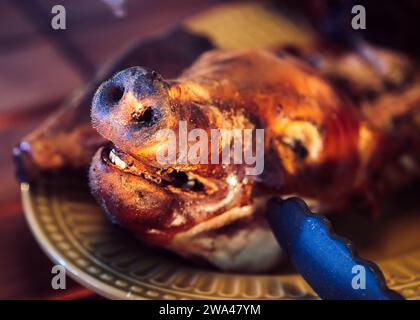 Sauggrillen Schweinekopf auf weißem Teller, Draufsicht Stockfoto