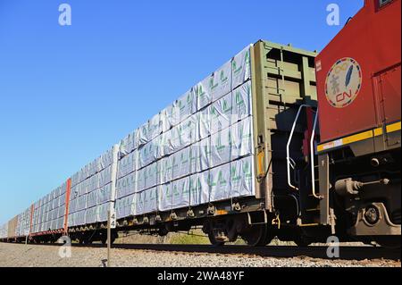 Dundee, Illinois, USA. Ein Güterzug der Canadian National Railway durch einen ländlichen Abschnitt im Nordosten von Illinois. Stockfoto