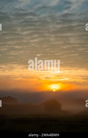 Die Sonne geht majestätisch auf und wirft einen goldenen Glanz durch den Morgennebel, der die Felder umhüllt. Der Himmel ist eine Leinwand aus strukturierten Wolken, die vom sanften Licht der Dämmerung bis zum tieferen Blau des Wachtages reicht. Der Nebel fügt eine geheimnisvolle Schicht hinzu, die die Landschaft sanft verdeckt, während sie vom auftauchenden Sonnenlicht beleuchtet wird. Dieses natürliche Zusammenspiel schafft einen Moment der Stille und Schönheit und fängt das ruhige Drama eines neuen Tages ein. Sonnenaufgang: Nebel und Licht über Feldern. Hochwertige Fotos Stockfoto