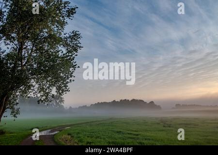 In dieser ruhigen Landschaft führt ein geschwungener Schotterweg durch eine frische, grüne Wiese, die mit Morgennebel bedeckt ist. Links steht ein einziger prächtiger Baum, dessen Blätter im sanften Wind flüstern. Der Himmel darüber ist von schroffen Zirruswolken durchzogen, die mit dem blassblauen Morgengrauen getönt sind. Die aufgehende Sonne blickt durch den Nebel und strahlt ein weiches, silbriges Licht aus, das den Beginn eines friedlichen Tages verspricht. Diese Pastoralszene erinnert an die Ruhe des ländlichen Lebens und die erfrischende Reinheit der Morgenluft auf dem Land. Klares Morgenlicht auf einem nebeligen Wiesenweg. Hochwertige Fotos Stockfoto