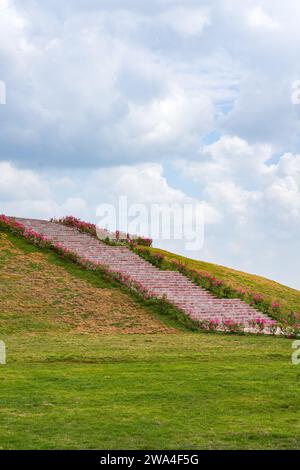 Treppe mit Blumen auf einem Hügel Stockfoto