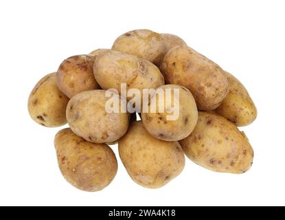 Ein Haufen Kartoffeln, die in ihrer Haut gekocht wurden. Isoliert auf weiß Stockfoto