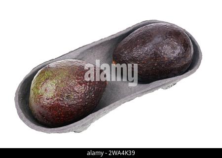 Zwei Haas Avocados in einem Papierbehälter isoliert auf weiß Stockfoto