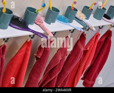 Spremberg, Deutschland. Dezember 2023. Kinderzahnbürsten, Haarbürsten und Handtücher können im Bad einer Kindertagesstätte/Kindergarten gesehen werden. Quelle: Patrick Pleul/dpa/Alamy Live News Stockfoto