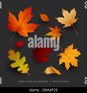 Buntes Herbstlaub, Herbstblatt Set, Vektor-Illustration Design Stock Vektor