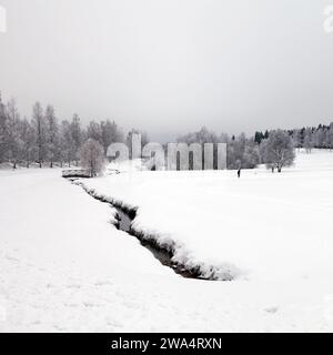 Blick auf einen winterlichen und frostigen Bach, Bäume und Wiesen kurz nach Neujahr. Neu gefallener Schnee und bewölktes Wetter. Etwas Aktivität in der Landschaft. Stockfoto