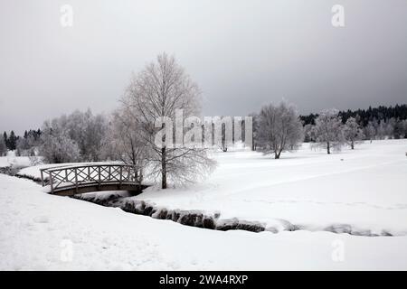 Blick auf einen winterlichen und frostigen Bach, Bäume und Wiesen kurz nach Neujahr. Neu gefallener Schnee und bewölktes Wetter. Etwas Aktivität in der Landschaft. Stockfoto