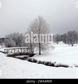 Blick auf einen winterlichen und frostigen Bach, Bäume und Wiesen kurz nach Neujahr. Neu gefallener Schnee und bewölktes Wetter. Etwas Aktivität in der Landschaft. Stockfoto
