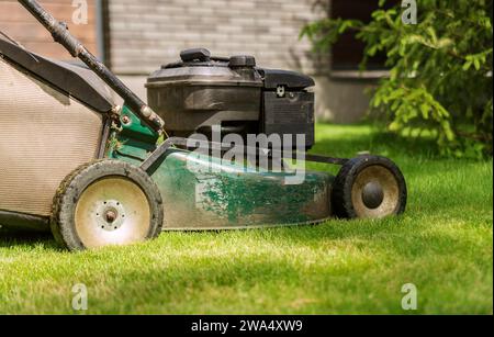 Der Rasenmäher mäht das Gras an einem sonnigen Tag. Gartenpflegekonzept. Nahaufnahme. Stockfoto