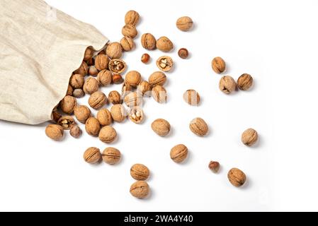 Große Tüte Sackleinen mit Walnüssen und Haselnüssen. Nüsse auf weißem Hintergrund verstreut. Isoliert auf weiß. Stockfoto