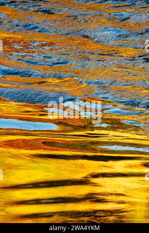 Spätherbstliche Lärchenreflexionen im Fluss Spey. Craigellachie, Morayshire, Schottland Stockfoto