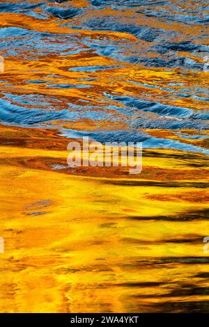 Spätherbstliche Lärchenreflexionen im Fluss Spey. Craigellachie, Morayshire, Schottland Stockfoto